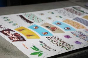 شیت‌های استروک لیوان کاغذی آماده چاپ با کیفیت بالا در کارخانه پارس پک